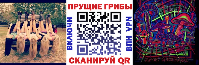 Псилоцибиновые грибы Psilocybine cubensis  цены наркотик  Щёлкино 